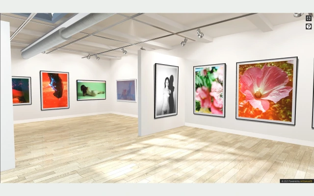 Michael Walrond — Flowers and Dream Distortion — visuel d’archive