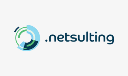 netsulting (1)